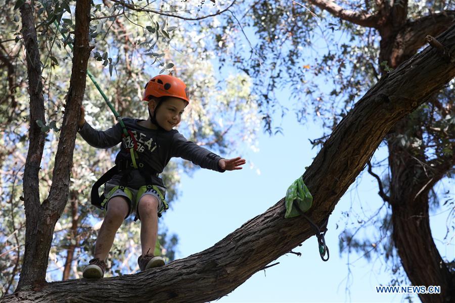 AUSTRALIA-CANBERRA-LEISURE-TREE CLIMBING