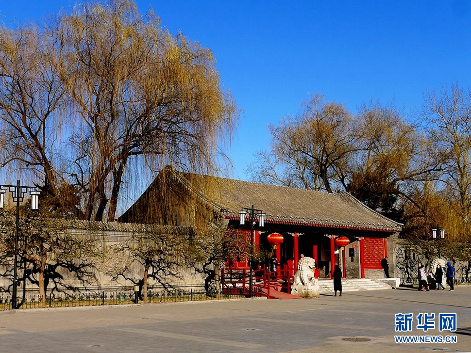 冬至，漫步大觀園