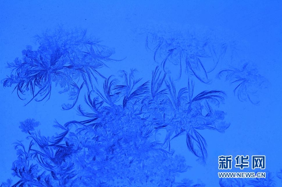 忽如一夜寒冬來，千家萬戶窗花開