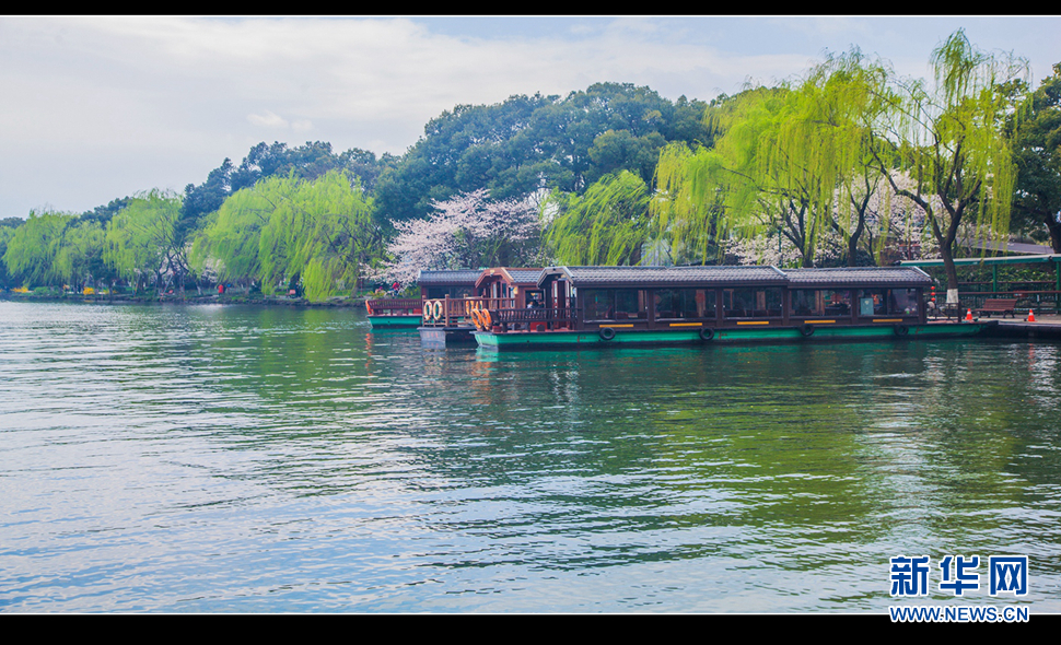 聽風(fēng)西湖柳，聞香龍井茶