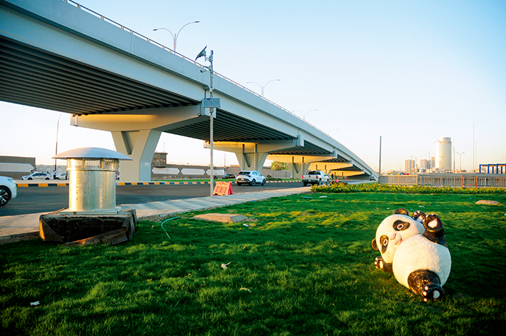 巴格達(dá)的椰棗樹