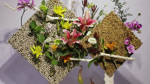 如此動(dòng)人，和百合來(lái)場(chǎng)約會(huì)吧！