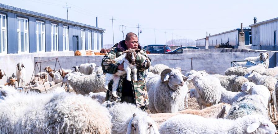 易地搬遷讓村民“住得好、能致富”