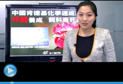 權(quán)威聲音：“快時(shí)代”究竟還有什么可以速成？