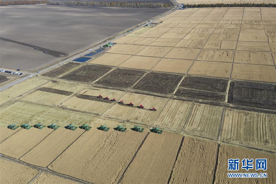 （社會）（1）&ldquo;北大荒&rdquo;秋收忙
