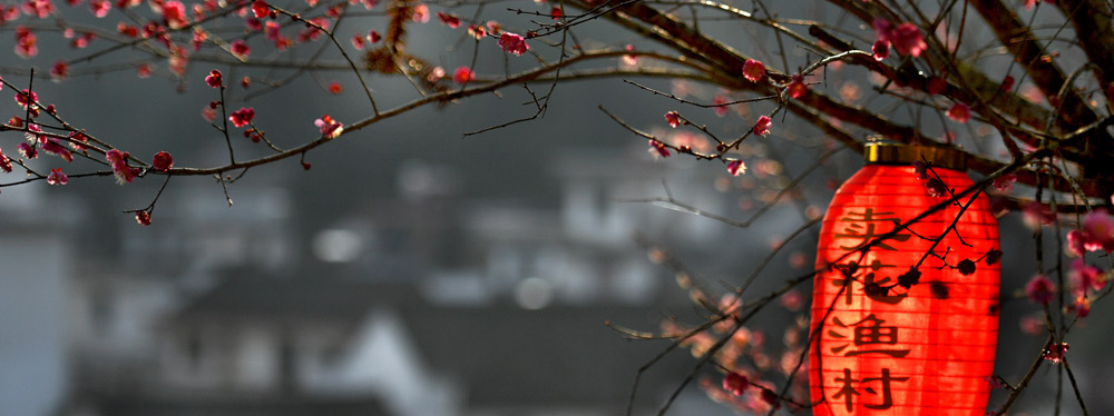 春來花開，綻放正當(dāng)時
