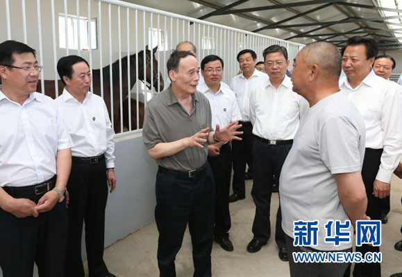 這是7月3日，王岐山在錫林浩特市義合良種馬繁育基地考察。新華社記者 龐興雷 攝