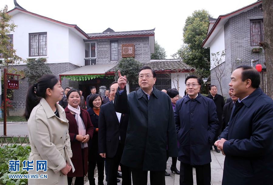 這是11月22日，張德江來到成都郫縣青杠樹村，了解村民委員會工作情況。 新華社記者 劉衛(wèi)兵 攝 