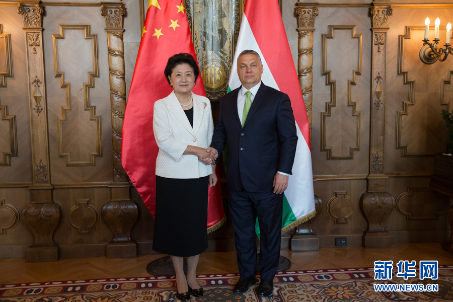  6月21日，國務院副總理劉延東（左）在匈牙利布達佩斯國會大廈會見匈牙利總理歐爾班。 新華社發(fā)（弗爾季·奧蒂洛攝）