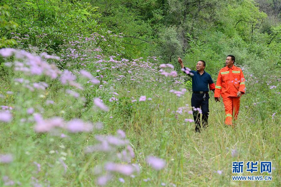 （壯闊東方潮 奮進(jìn)新時代&mdash;&mdash;慶祝改革開放40年）（3）退耕還林20年 延安大地譜新篇
