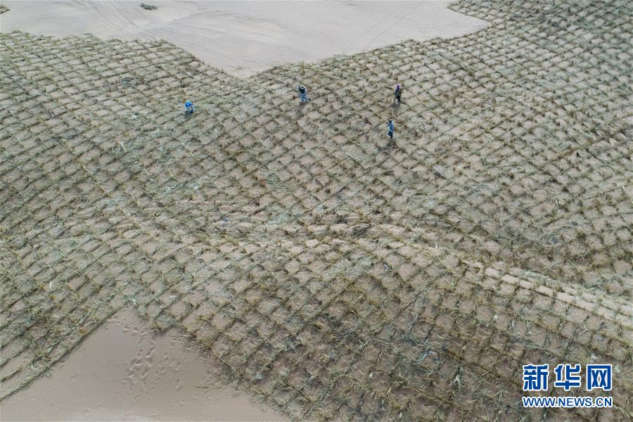 （新華全媒頭條&middot;圖文互動(dòng)）（8）荒漠化治理的&ldquo;中國(guó)智慧&rdquo;