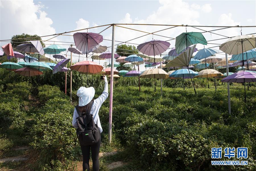 （大江奔流&mdash;&mdash;來(lái)自長(zhǎng)江經(jīng)濟(jì)帶的報(bào)道&middot;圖文互動(dòng)）（4）在這里，做一個(gè)幸福的農(nóng)民