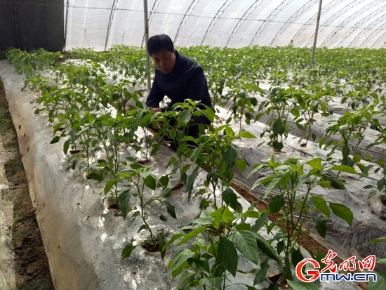 【脫貧攻堅(jiān)在行動(dòng)】全村聯(lián)名信留下好書記&mdash;&mdash;青海省城上村&ldquo;第一書記&rdquo;劉貴明這三年