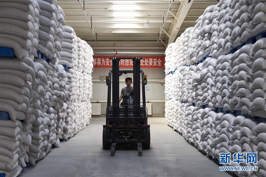 （新華全媒頭條&middot;圖文互動(dòng)）（6）去新疆！穿越古今絲綢之路