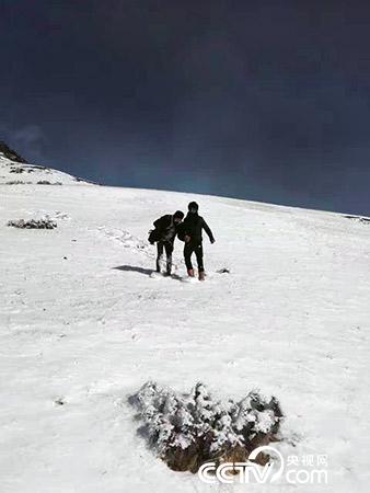 下雪天巡護(hù)也是常有的事。