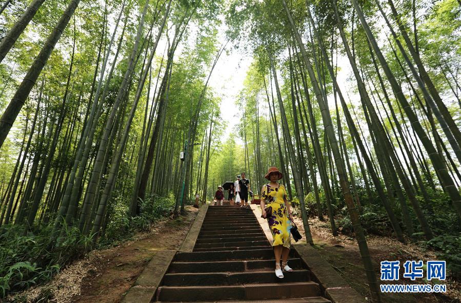 (在習(xí)近平新時代中國特色社會主義思想指引下·慶祝改革開放40周年·綠色發(fā)展·圖文互動)(1)向陽花木易為春——綠色發(fā)展之“木”的故事