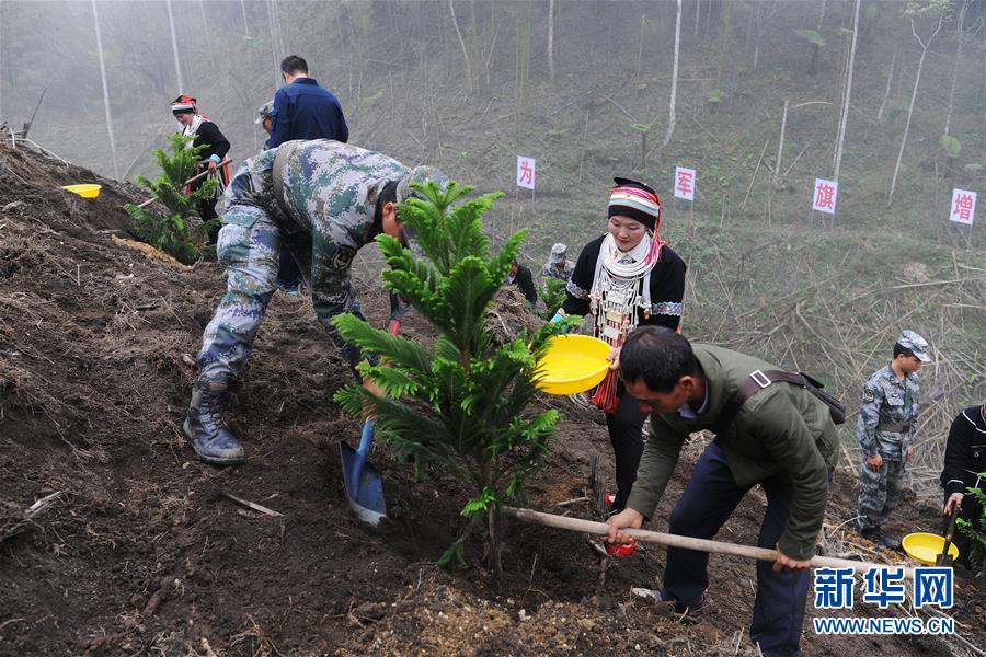 （圖文互動(dòng)）（6）和平年代，離死神最近的人——南部戰(zhàn)區(qū)陸軍云南掃雷大隊(duì)邊境掃雷排爆記事