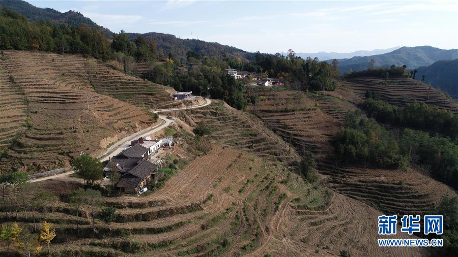 （在習(xí)近平新時(shí)代中國(guó)特色社會(huì)主義思想指引下&middot;慶祝改革開(kāi)放40周年&middot;共享發(fā)展&middot;圖文互動(dòng)）（3）&ldquo;浙江親人&rdquo;請(qǐng)心安 白茶苗已種滿山&mdash;&mdash;浙江安吉捐贈(zèng)四川青川白茶苗種植地探訪