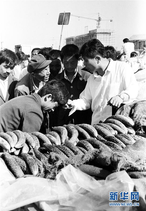 （改革先鋒風采&middot;圖文互動）（3）王伯祥：山東壽光蔬菜產(chǎn)業(yè)的推動者 