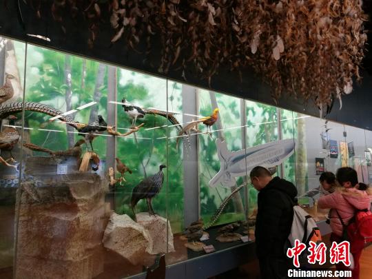 圖為展覽現(xiàn)場(chǎng)。　胡遠(yuǎn)航 攝