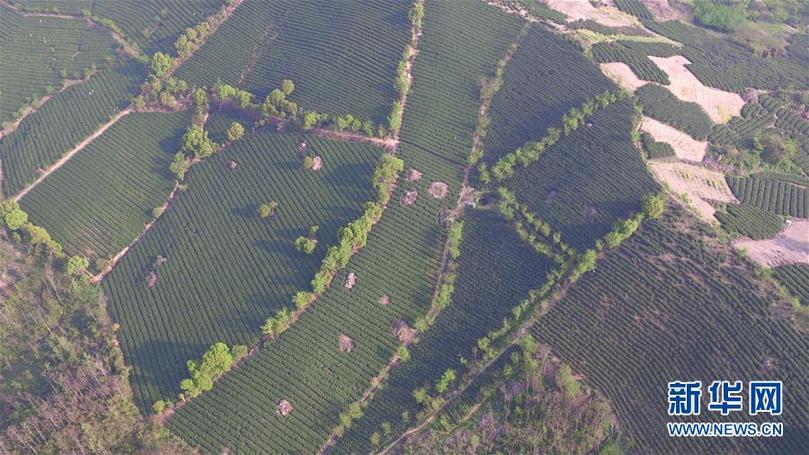 （兩會前夕看落實&middot;圖文互動）（9）綠色發(fā)展引領 守護&ldquo;魚米之鄉(xiāng)&rdquo;&mdash;&mdash;江蘇落實習近平總書記全國兩會重要講話精神紀實