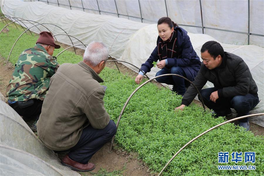 （兩會前夕看落實&middot;圖文互動）（1）奮力脫貧攻堅 生態(tài)追&ldquo;清&rdquo;逐&ldquo;綠&rdquo;&mdash;&mdash;江西落實習(xí)近平總書記全國兩會重要講話精神紀實