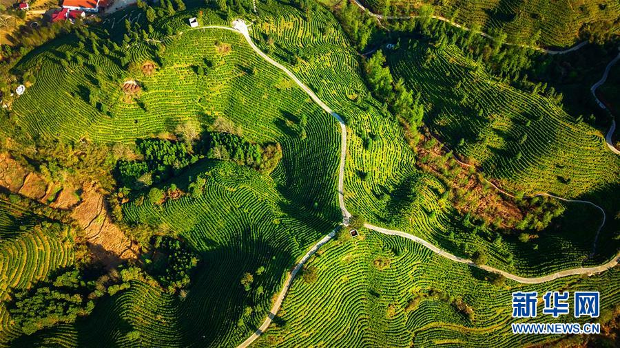 （兩會前夕看落實&middot;圖文互動）（5）奮力脫貧攻堅 生態(tài)追&ldquo;清&rdquo;逐&ldquo;綠&rdquo;&mdash;&mdash;江西落實習(xí)近平總書記全國兩會重要講話精神紀實