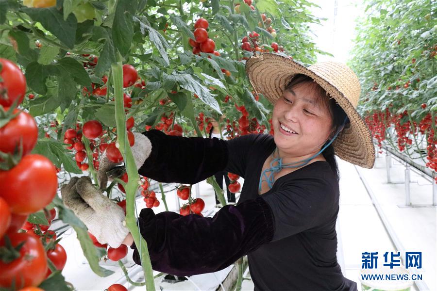 （兩會前夕看落實&middot;圖文互動）（8）奮力脫貧攻堅 生態(tài)追&ldquo;清&rdquo;逐&ldquo;綠&rdquo;&mdash;&mdash;江西落實習(xí)近平總書記全國兩會重要講話精神紀實