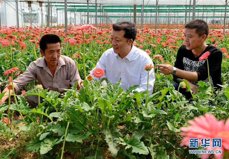 （新華全媒頭條·愛國情 奮斗者·圖文互動(dòng)）（8）致敬，為祖國獻(xiàn)身的英雄！