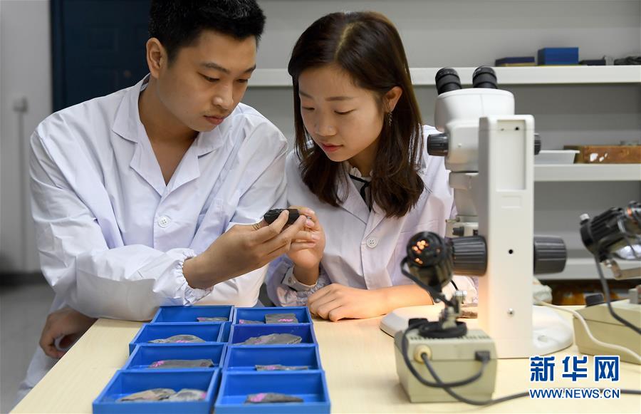 （新華全媒頭條&middot;圖文互動(dòng)）（5）探尋5億年前&ldquo;生命大爆炸&rdquo;之奧秘&mdash;&mdash;中國(guó)科學(xué)家發(fā)現(xiàn)寒武紀(jì)&ldquo;化石寶庫&rdquo;清江生物群紀(jì)實(shí)