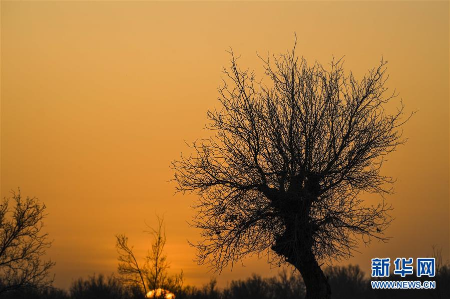 （新華全媒頭條&middot;圖文互動(dòng)）（2）一步千年，&ldquo;最后的沙漠部落&rdquo;遷入新家園