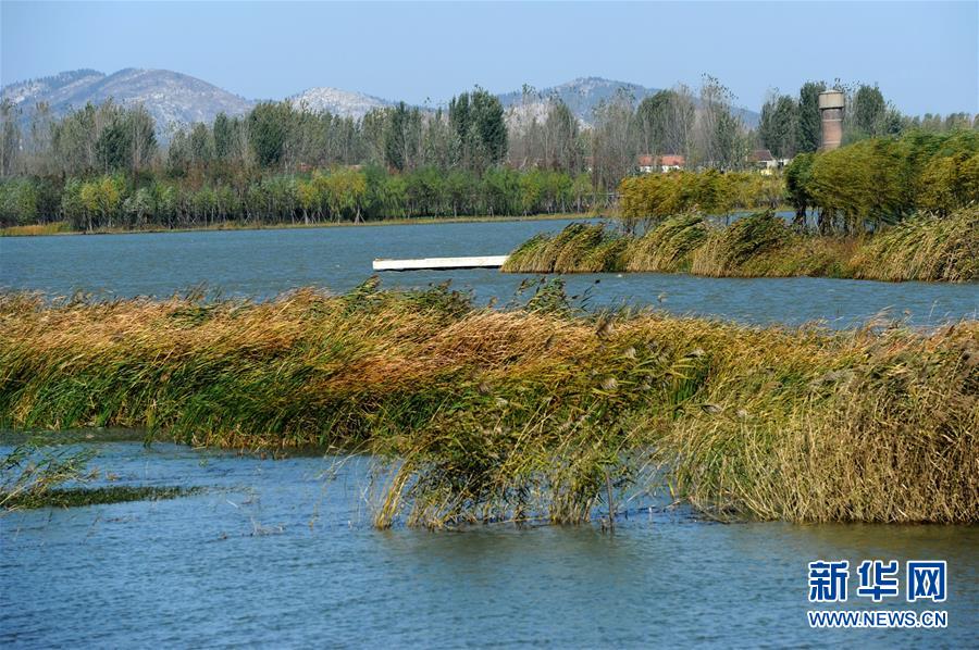 (新華全媒頭條·圖文互動)(13)城市重生的徐州邏輯——資源枯竭城市的轉(zhuǎn)型之道