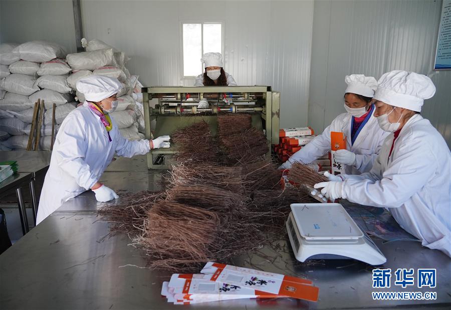 （走基層 聽民聲&middot;圖文互動）（5）電商扶貧 讓陜西山區(qū)農(nóng)業(yè)擁抱&ldquo;藍海&rdquo;