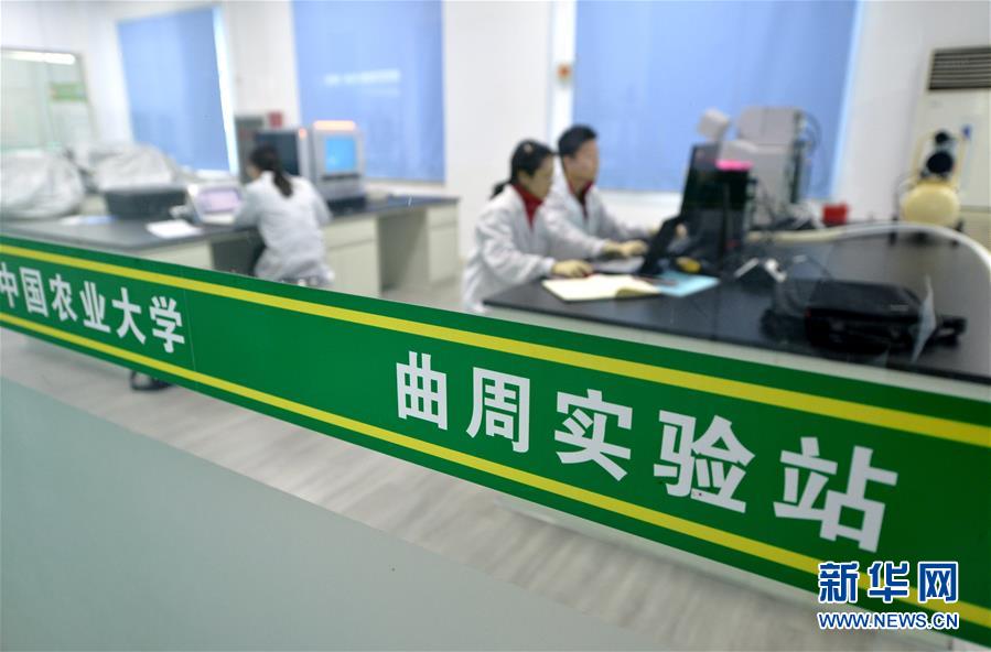 （愛國情 奮斗者·圖文互動）（3） “解民生之多艱，育天下之英才”——中國農大師生扎根田野書寫奉獻之歌