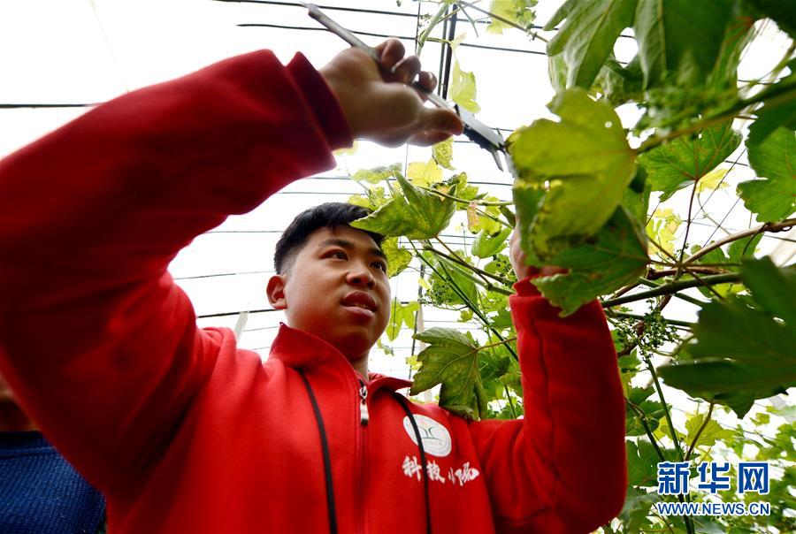 （愛國情 奮斗者·圖文互動）（8） “解民生之多艱，育天下之英才”——中國農大師生扎根田野書寫奉獻之歌