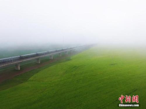 資料圖：動車組穿越雨霧中的油菜花海宛若穿越時空。 楊艷敏 攝
