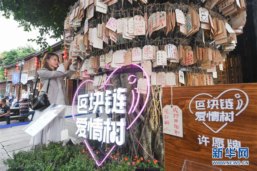 （新華全媒頭條&middot;圖文互動(dòng)）（9）從&ldquo;數(shù)字中國(guó)&rdquo;看中國(guó)發(fā)展新信號(hào)、新亮點(diǎn)、新趨勢(shì)