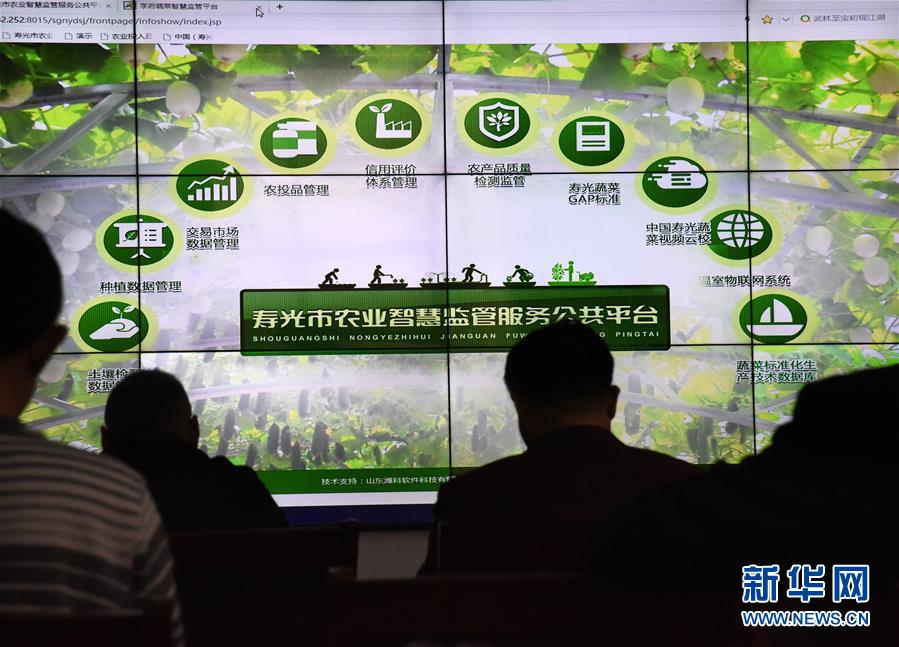 （壯麗70年&middot;奮斗新時代&middot;圖文互動）（4）山東壽光：一棵&ldquo;菜&rdquo;興一座城 