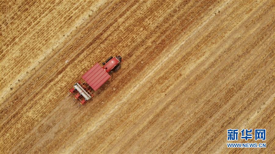 （新華全媒頭條&middot;圖文互動(dòng)）（7）一個(gè)傳統(tǒng)農(nóng)業(yè)縣的脫貧之路&mdash;&mdash;來(lái)自河北新河的調(diào)查報(bào)告