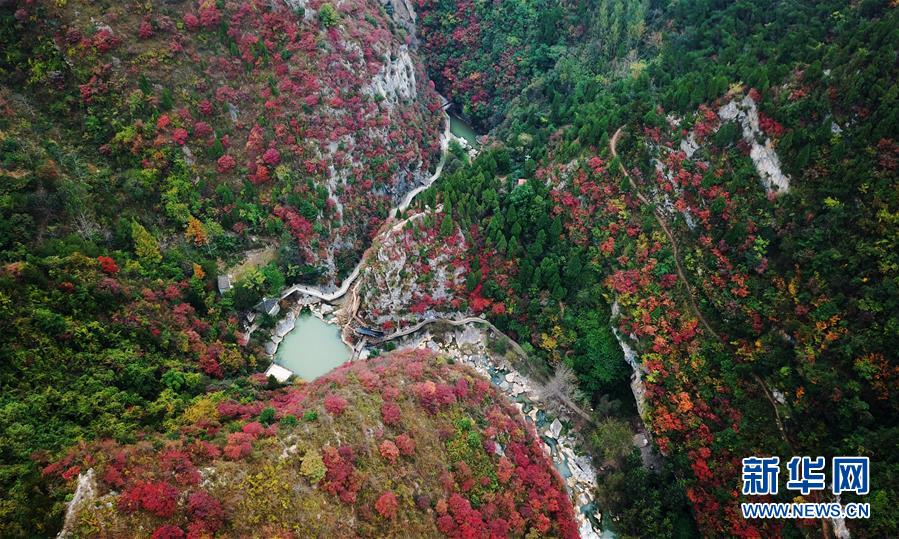 （壯麗70年&middot;奮斗新時(shí)代&mdash;&mdash;共和國發(fā)展成就巡禮&middot;圖文互動）（2）以&ldquo;綠色&rdquo;身姿站上發(fā)展前沿&mdash;&mdash;甘肅綠色轉(zhuǎn)型發(fā)展紀(jì)實(shí)