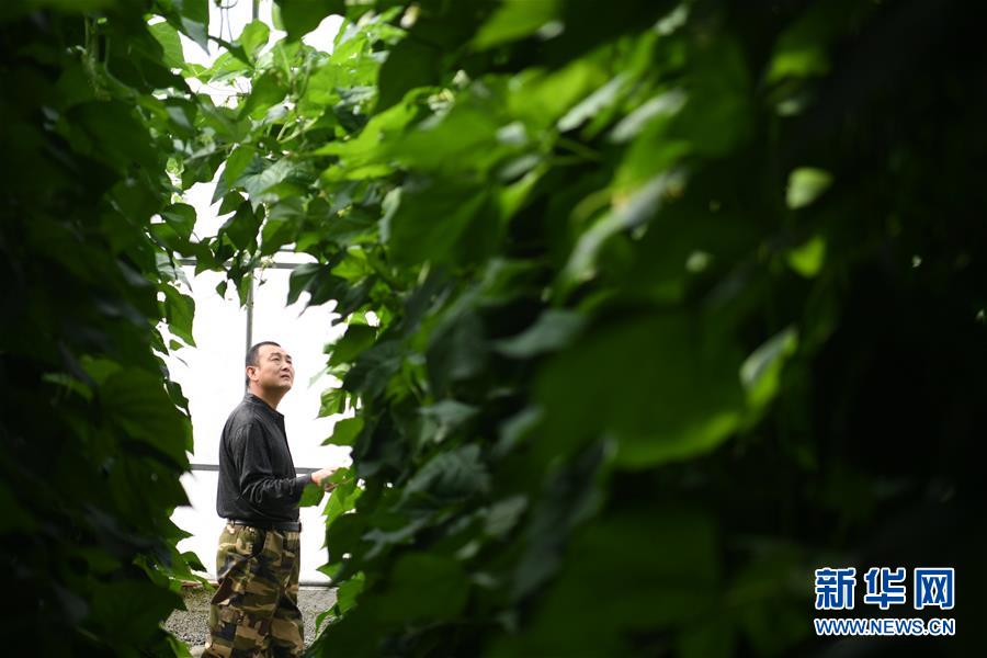 （壯麗70年&middot;奮斗新時(shí)代&mdash;&mdash;共和國發(fā)展成就巡禮&middot;圖文互動）（7）以&ldquo;綠色&rdquo;身姿站上發(fā)展前沿&mdash;&mdash;甘肅綠色轉(zhuǎn)型發(fā)展紀(jì)實(shí)