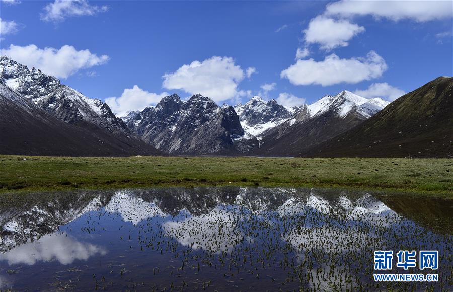 （今日關(guān)注&middot;第一屆國家公園論壇&middot;圖文互動）（6）首個國家公園什么樣？專家?guī)阆?ldquo;睹&rdquo;為快