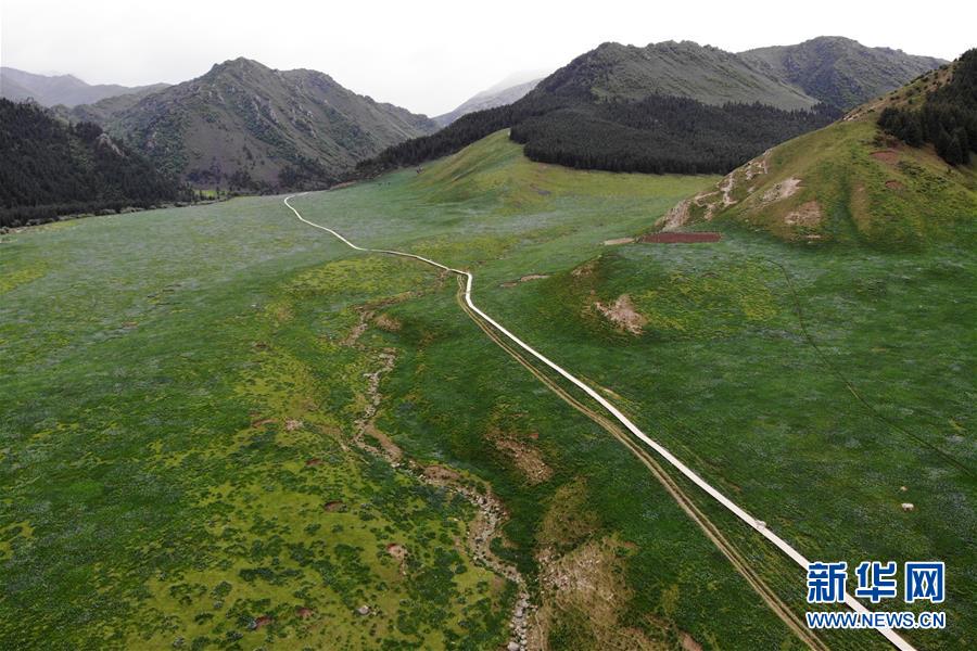 （新華全媒頭條&middot;圖文互動(dòng)）（10）綠色的啟示&mdash;&mdash;西部地區(qū)生態(tài)問(wèn)題典型個(gè)案再調(diào)查