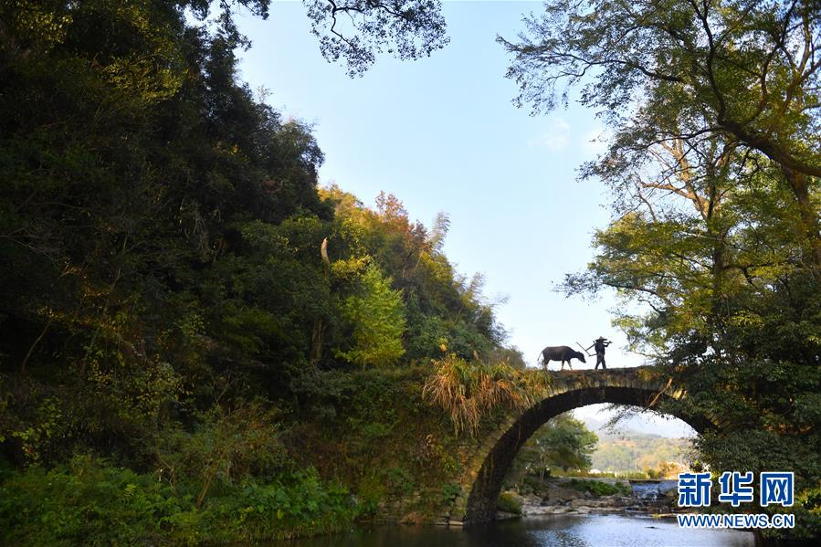 （圖文互動）（3）鄉(xiāng)村攝影師、鄉(xiāng)村&ldquo;模特&rdquo;、民宿店主&mdash;&mdash;鄉(xiāng)村旅游推動婺源農(nóng)民生活方式發(fā)生新變化