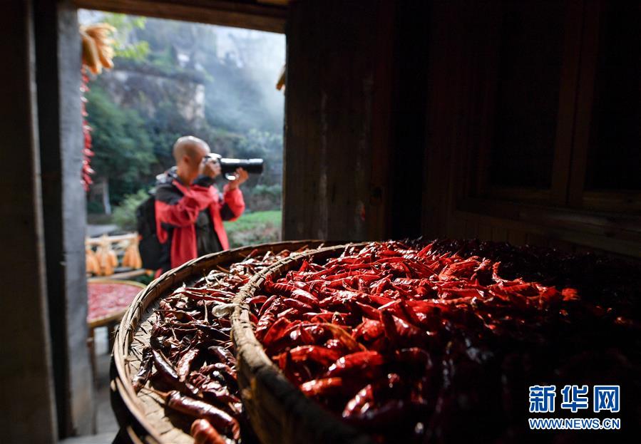 （圖文互動）（6）鄉(xiāng)村攝影師、鄉(xiāng)村&ldquo;模特&rdquo;、民宿店主&mdash;&mdash;鄉(xiāng)村旅游推動婺源農(nóng)民生活方式發(fā)生新變化