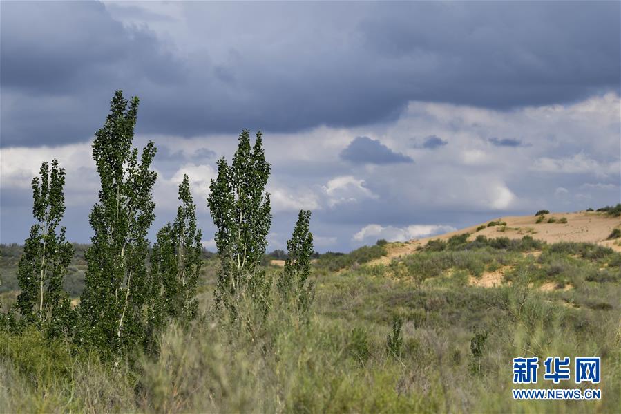 （在習(xí)近平新時(shí)代中國特色社會主義思想指引下&mdash;&mdash;新時(shí)代新作為新篇章&middot;總書記關(guān)切高質(zhì)量發(fā)展&middot;圖文互動(dòng)）（2）從一粒沙看不斷擴(kuò)大的中國綠色版圖