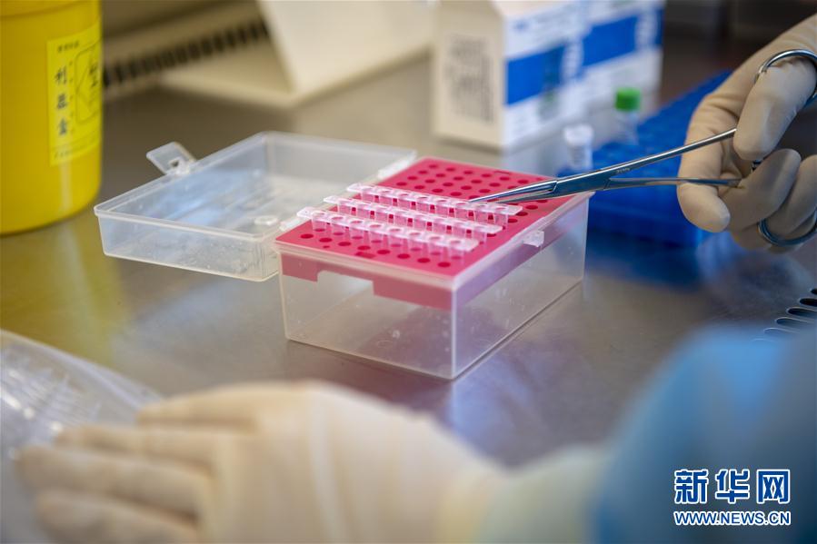 (一線抗疫群英譜·圖文互動(dòng))(4)“90后”檢驗(yàn)員張慧變:每個(gè)樣本都是一份沉甸甸的責(zé)任