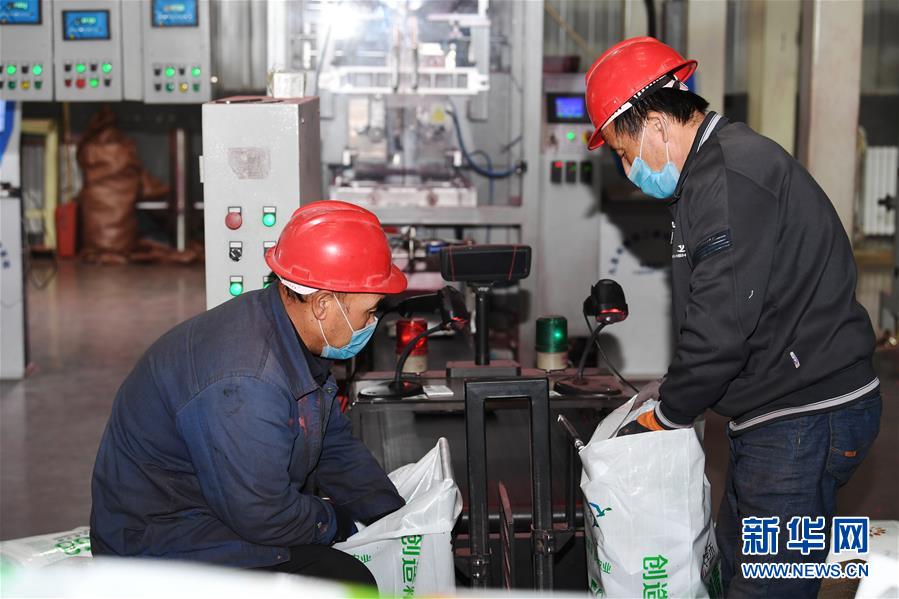 （抓好春耕備耕 穩(wěn)住農(nóng)業(yè)生產(chǎn)&middot;圖文互動(dòng)）（2）走向泥土是我們的終極夢(mèng)想&mdash;&mdash;一粒種子的自述