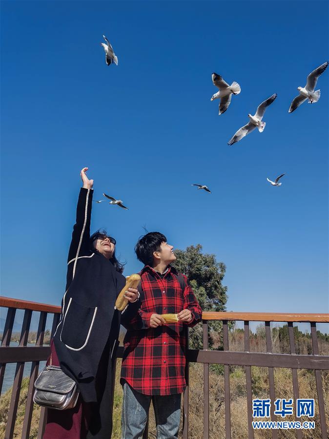 （一線抗疫群英譜·圖文互動(dòng)）（1）大學(xué)生志愿者譚藝西：在武漢，我和媽媽共戰(zhàn)“疫”