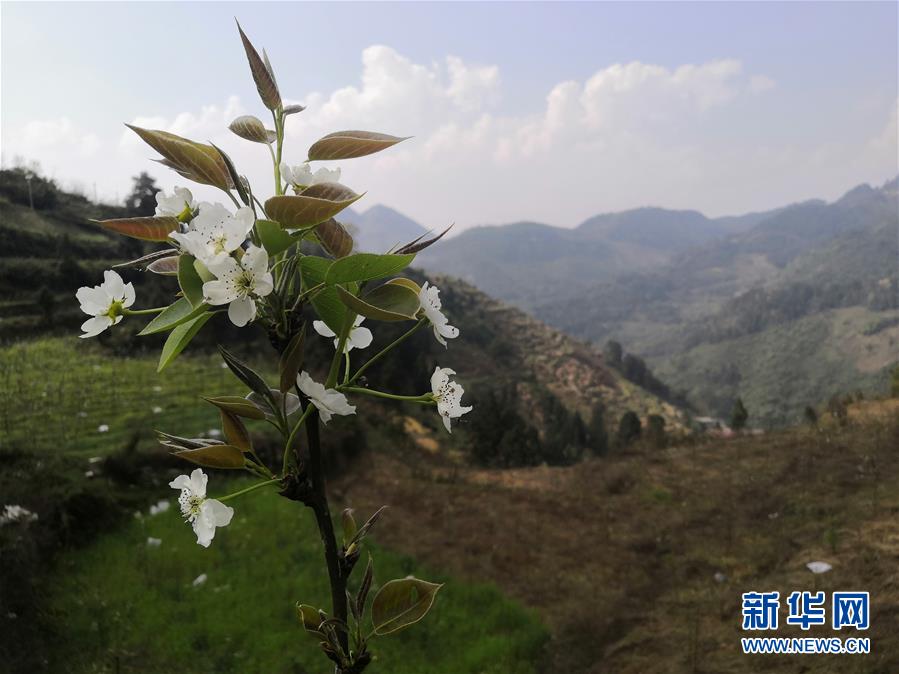 （決戰(zhàn)決勝脫貧攻堅·圖文互動）（1）寄相思，償夙愿——5封清明“家書”里的決戰(zhàn)決勝信念